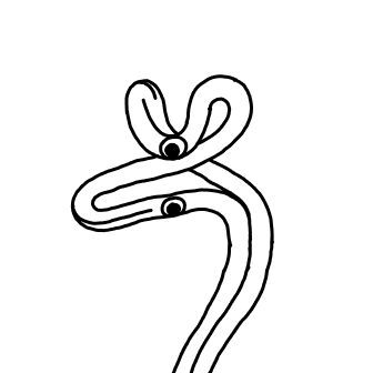 Knot 805