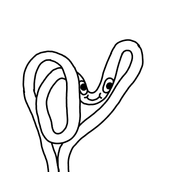 Knot 924