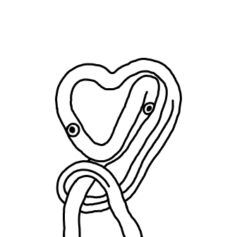 Knot 42