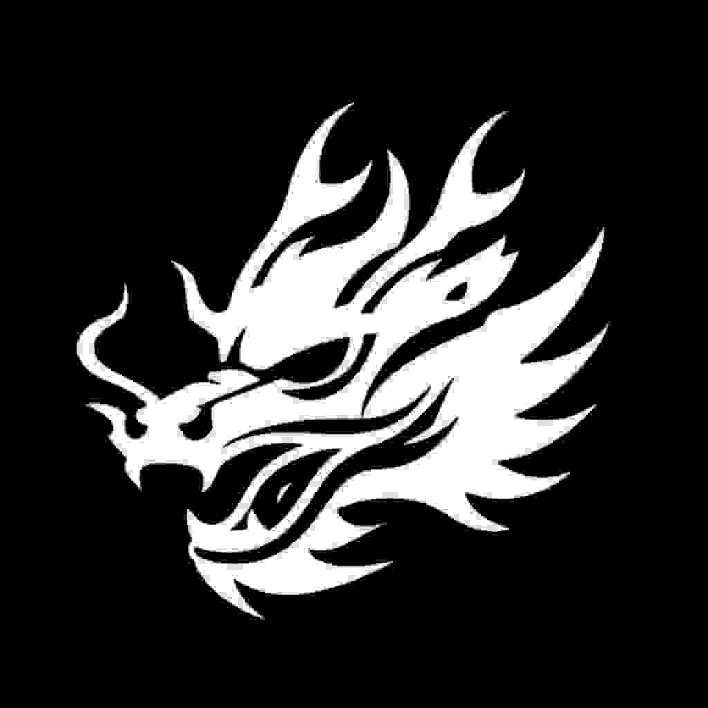 Bitcoin Dragon System