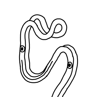 Knot 412