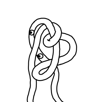 Knot 221
