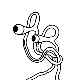 Knot 589