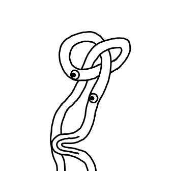 Knot 113