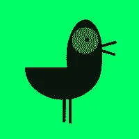FAAM-birds #5