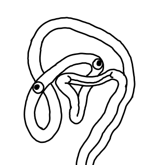 Knot 931