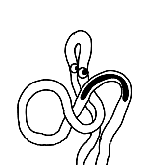 Knot 49