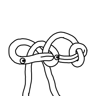Knot 107