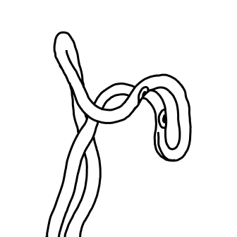 Knot 831