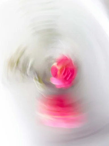 Loves Spin