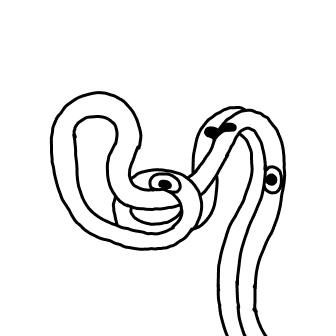 Knot 812