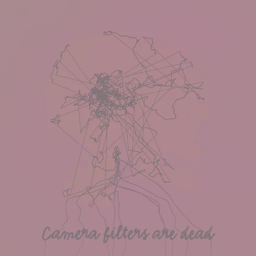 Camera filters are dead