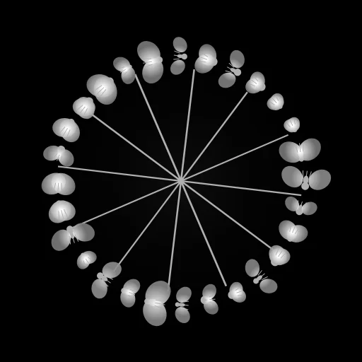 Fly-Wheel