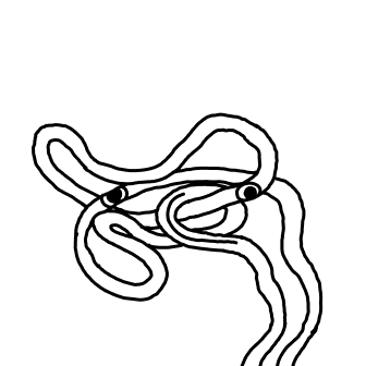 Knot 969