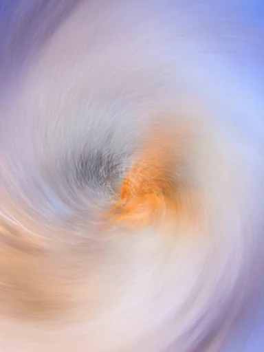 The Eye