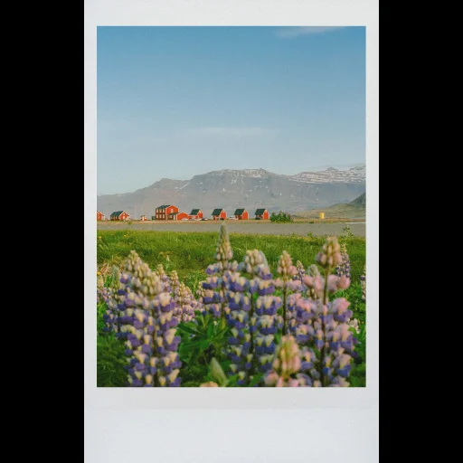 Cabins by the Coast