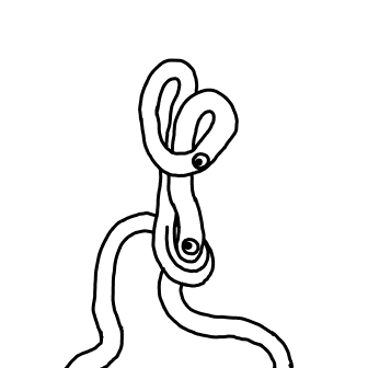 Knot 22