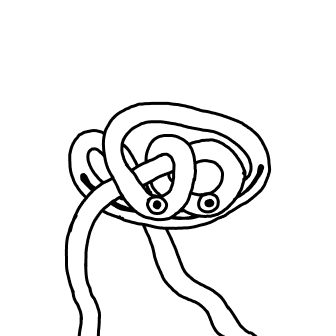 Knot 79