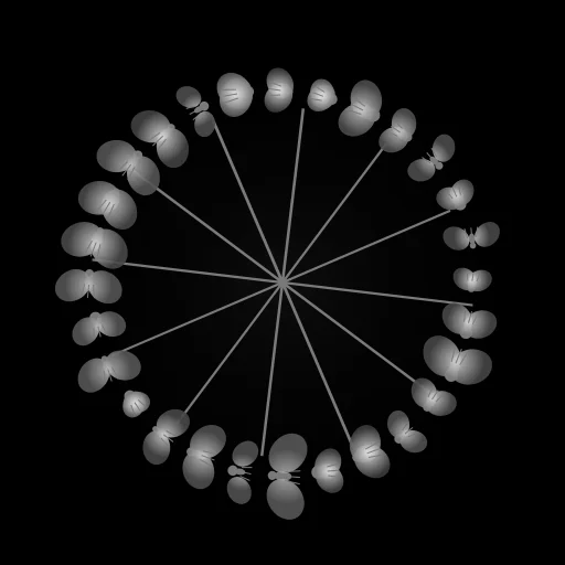 Fly-Wheel