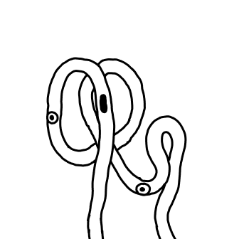 Knot 77