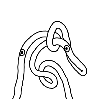 Knot 41