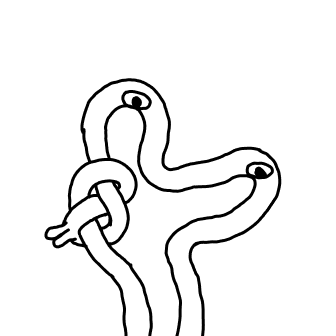 Knot 323
