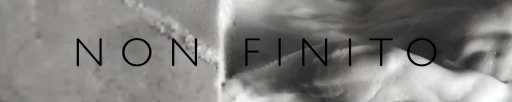 Non Finito by Costo Bravo
