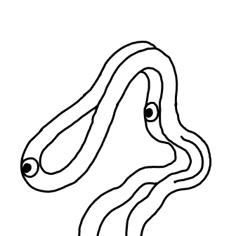 Knot 517