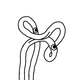 Knot 626