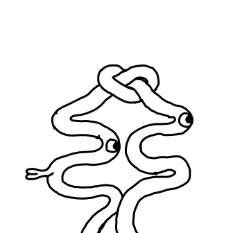 Knot 8