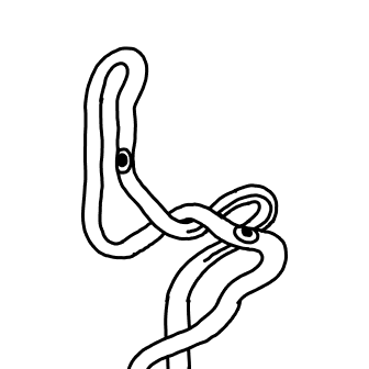 Knot 945