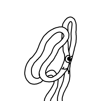 Knot 758