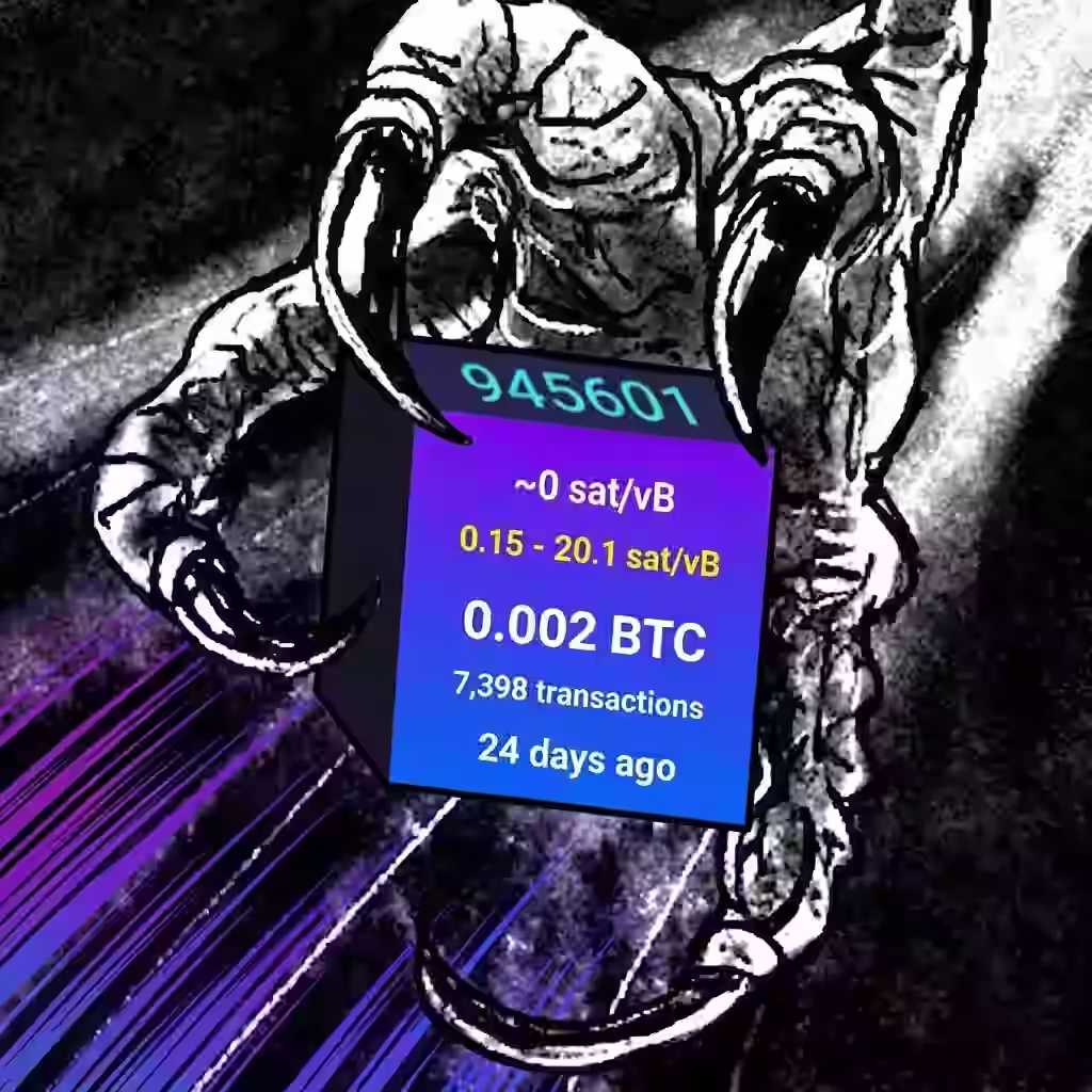 #126410008