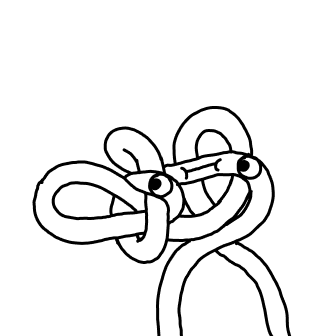 Knot 310