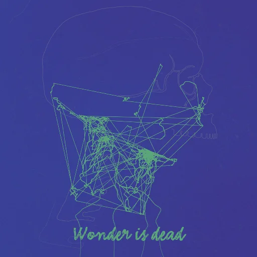 Wonder is dead