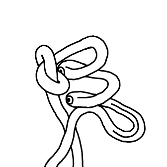 Knot 296