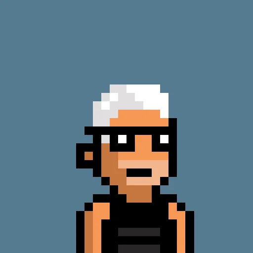 Punk Voyage #290