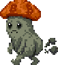 Pluteus