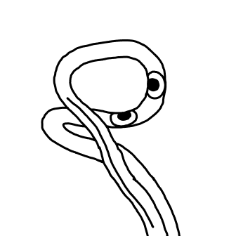 Knot 975