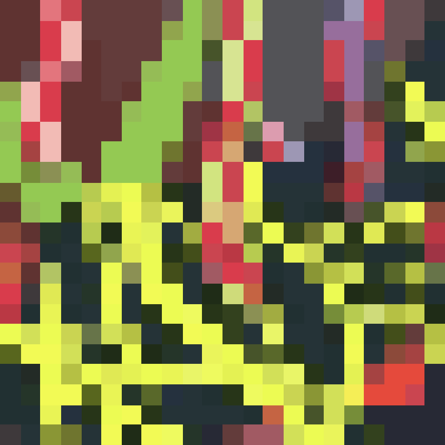 Photosynthesis 341