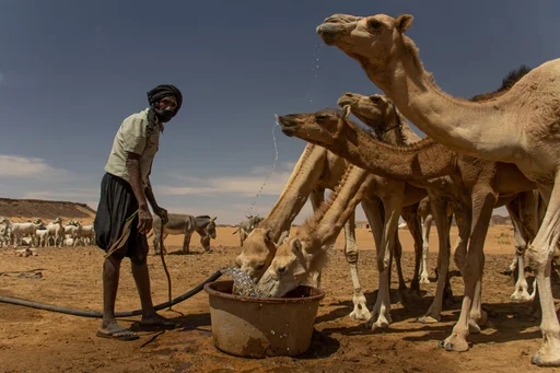 Desert Thirst