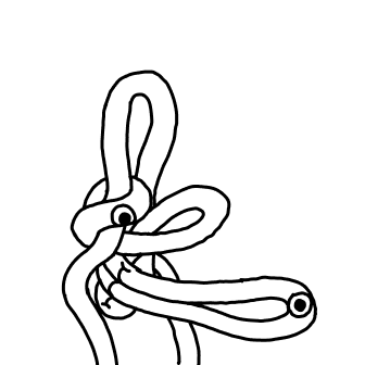 Knot 976