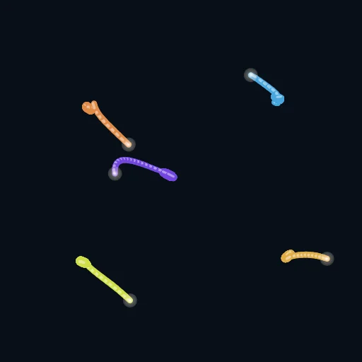 OceanBois