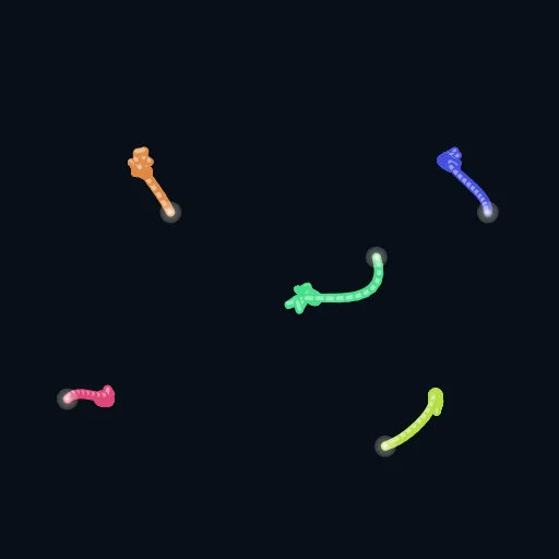 OceanBois