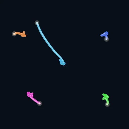 OceanBois