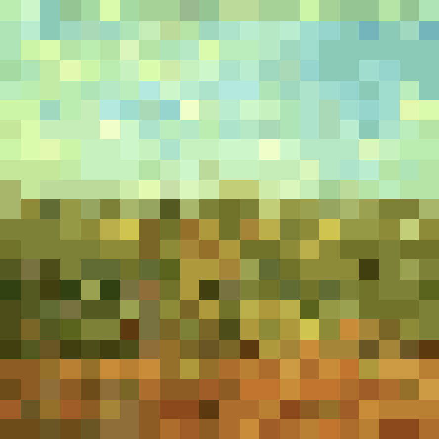 Photosynthesis 863