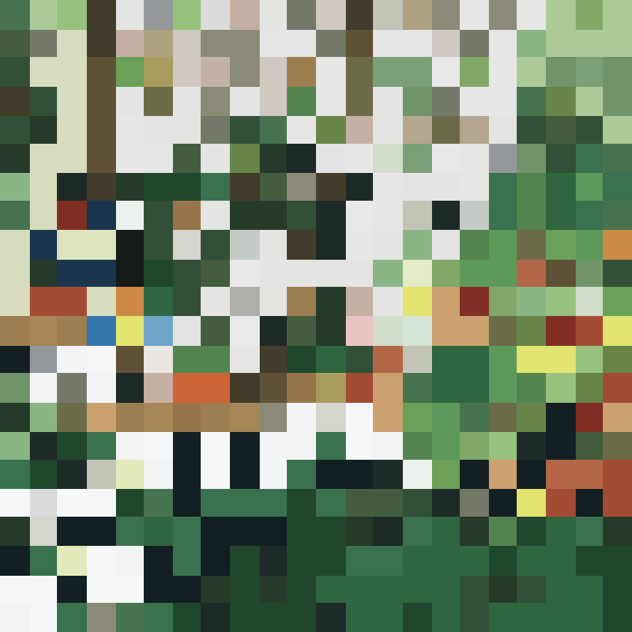 Photosynthesis 877