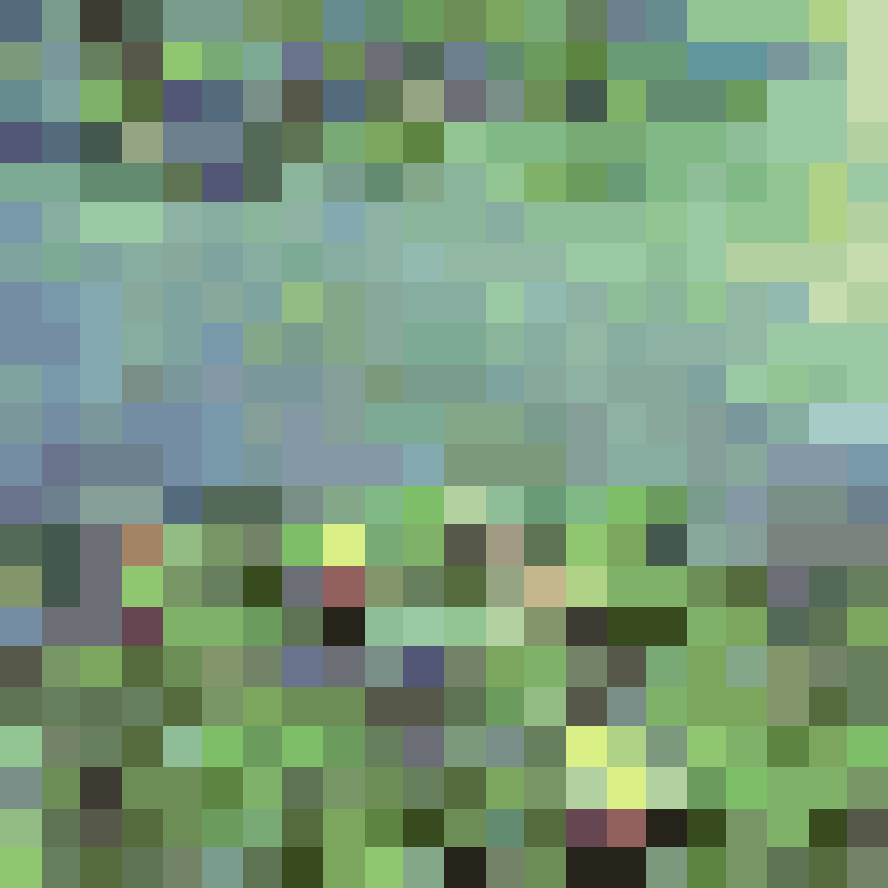 Photosynthesis 533