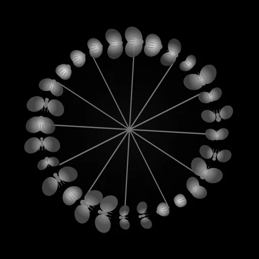 Fly-Wheel