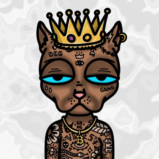 Ordinal Cat Gang #16